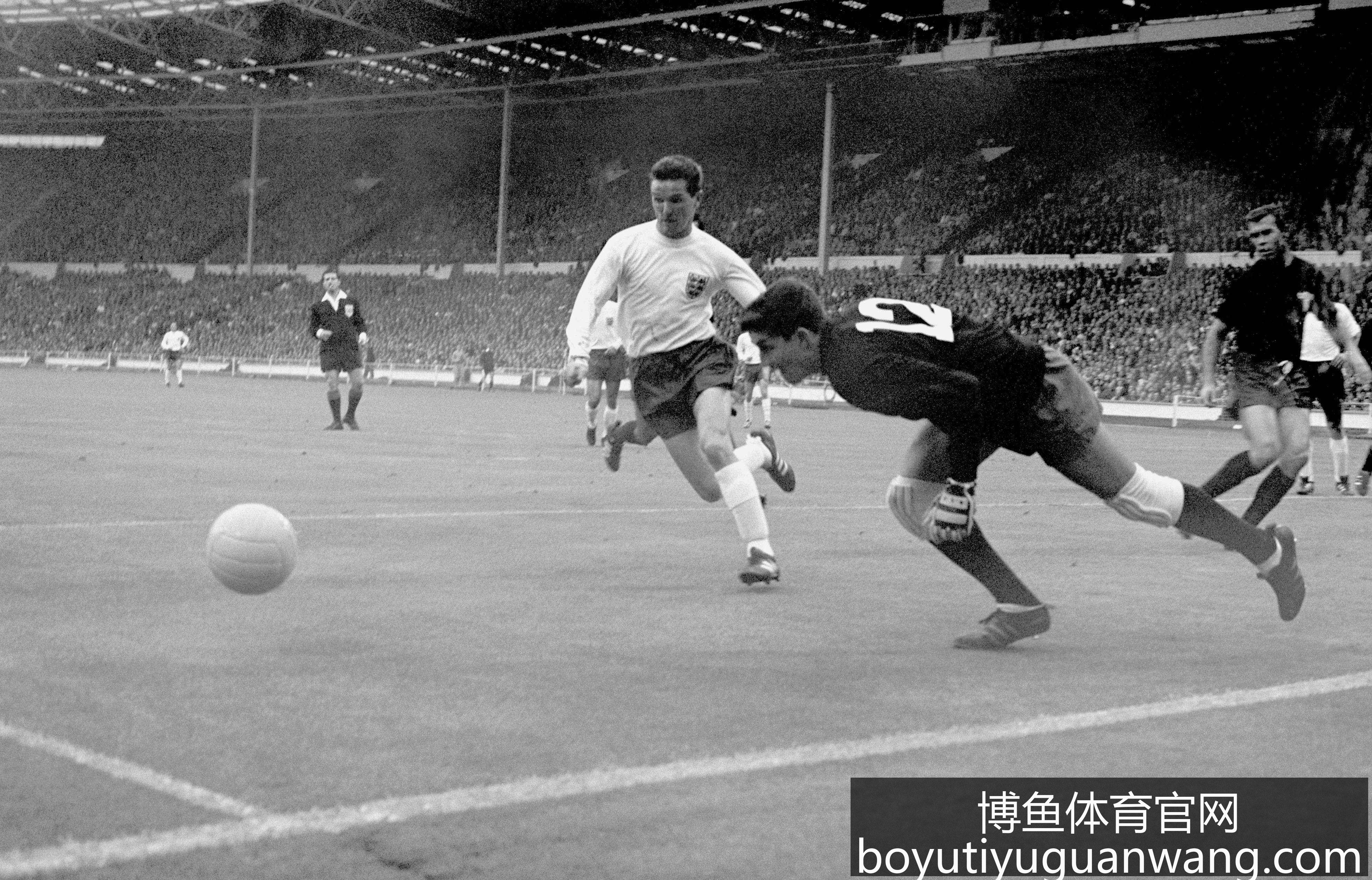 博鱼体育官,网突然官宣,讨论迅速升,博鱼体育官网,博鱼体育app下载